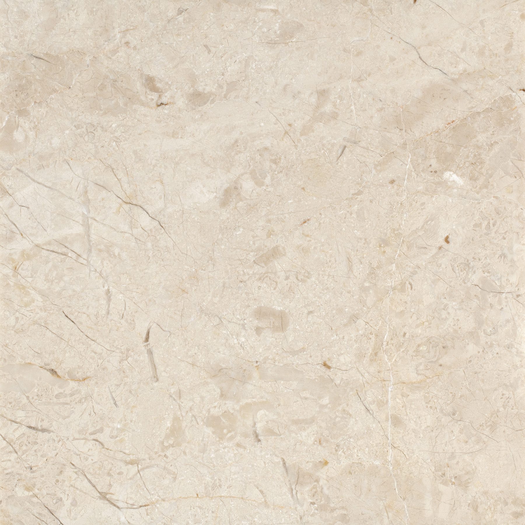 Bursa Beige